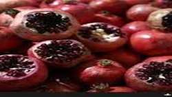 ذخیره بیش از شش هزار تن انار شب یلدا در استان لرستان
